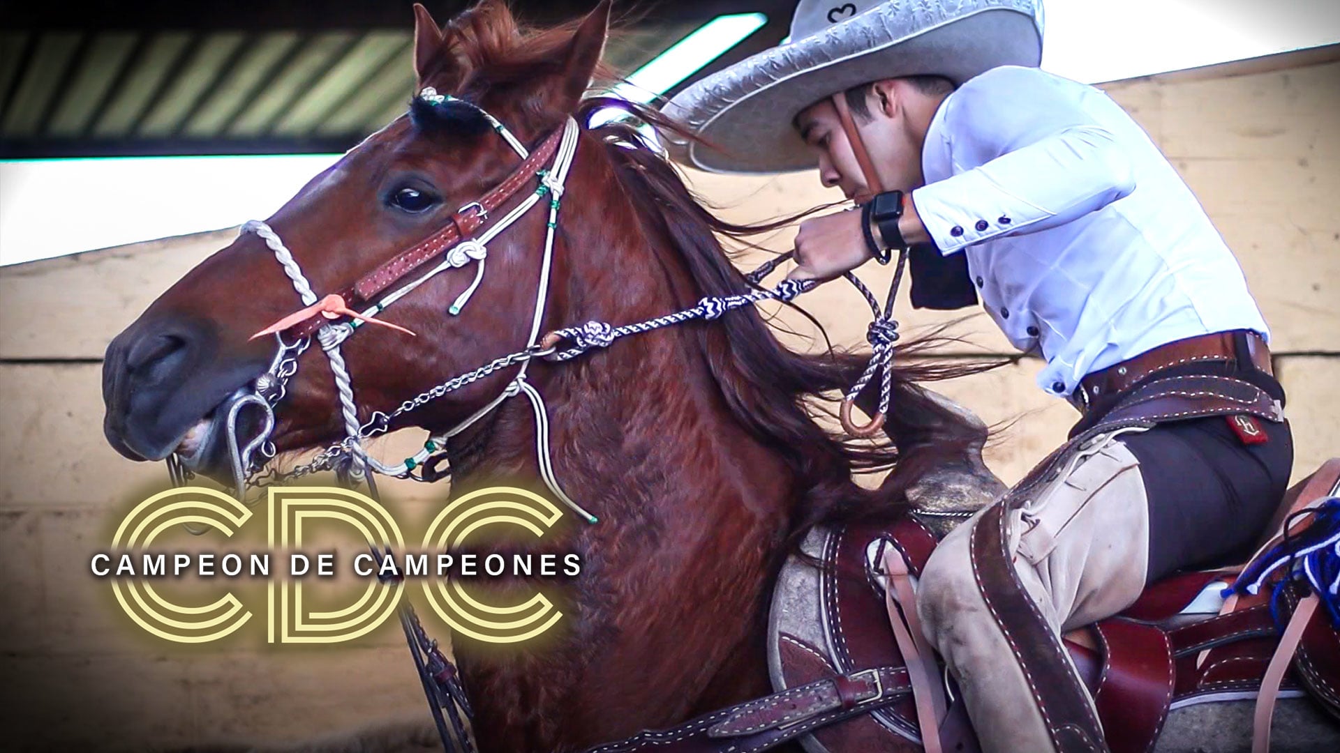 Categoria AAA+ (Bloque 1)