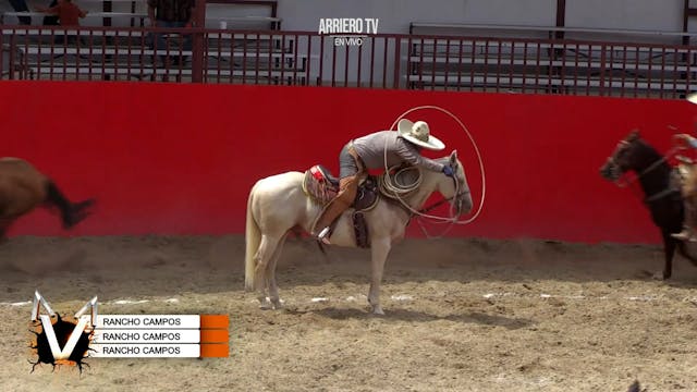Charreada 1