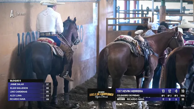Coleadero (Bloque 5 y Desempates)