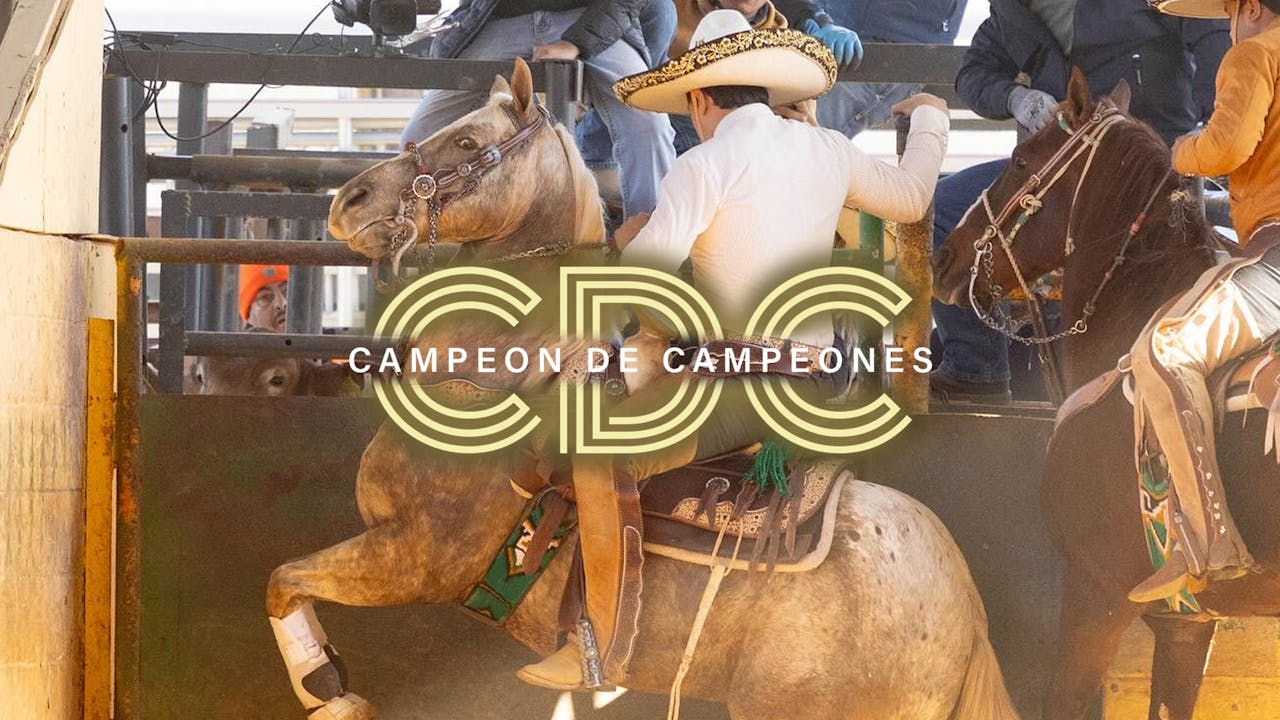 Campeon de Campeones 2024 (Package)