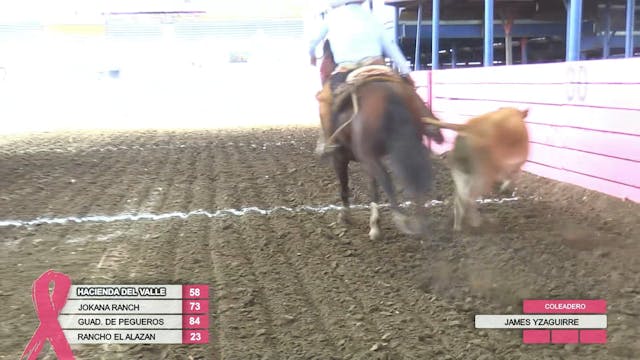 Domingo 28 de Septiembre