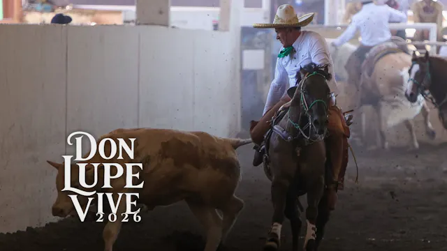 Primer Final por Equipos