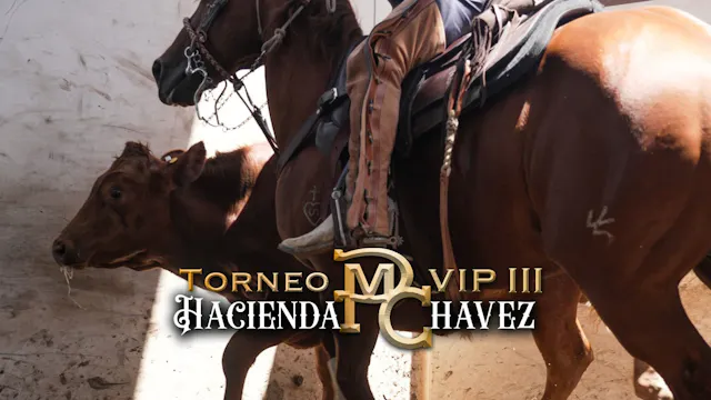 Coleadero AA