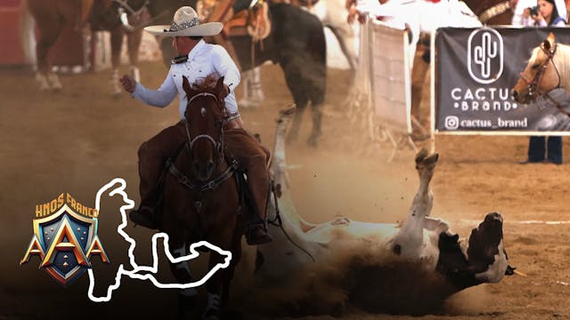 Sabado 14 de Febrero