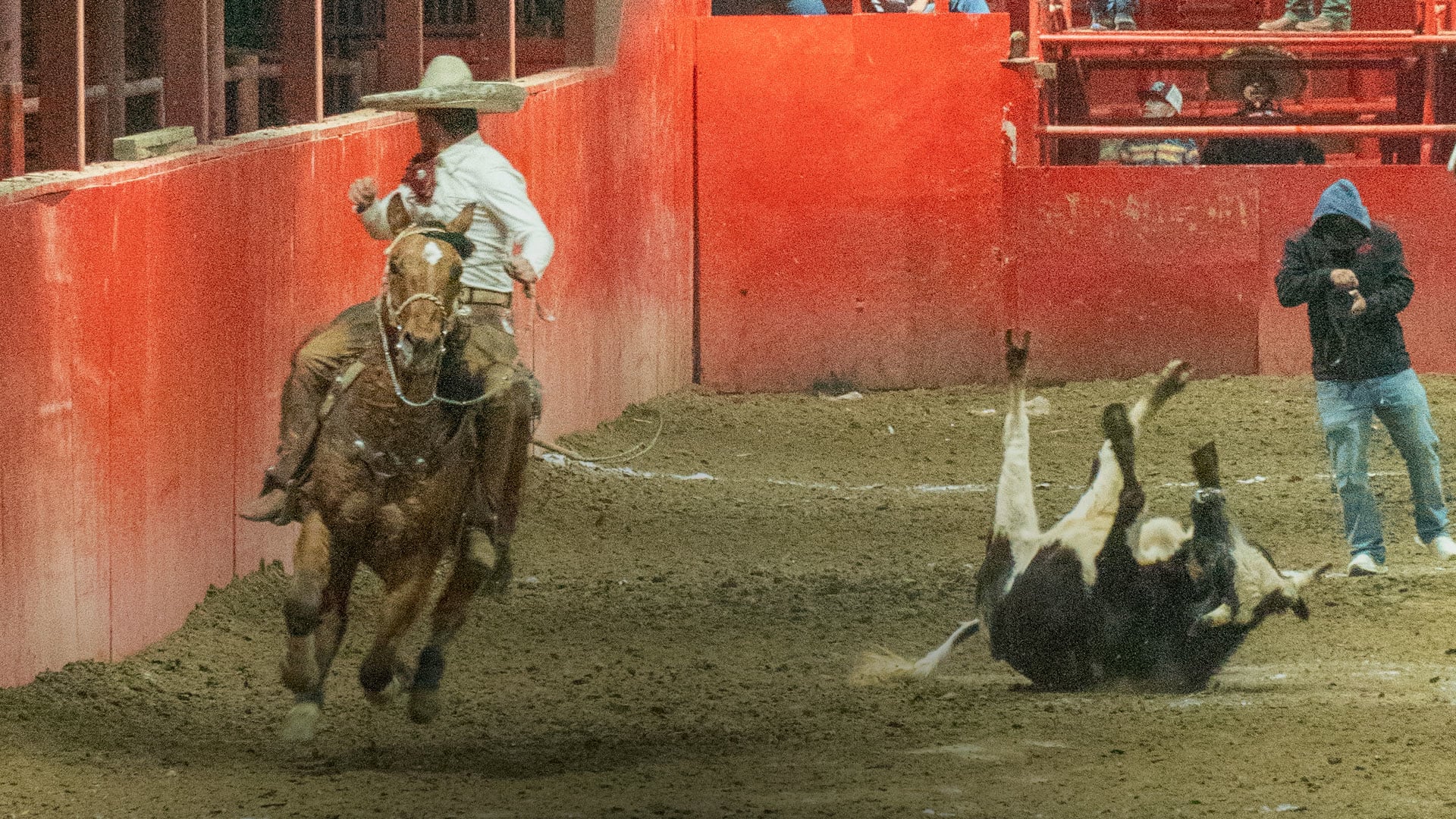 Charreada 3
