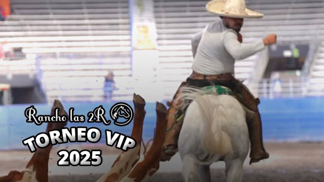 Coleadero VIP