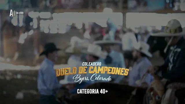 Categoria 40+