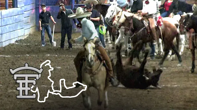 Sabado 14 de Febrero