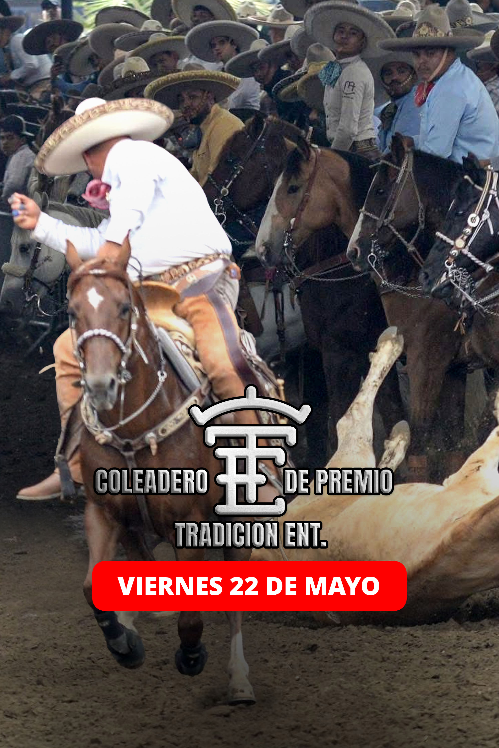 Tradicion Ent.: Coleadero de Premio