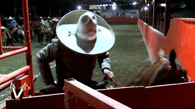 Coleadero de Premio
