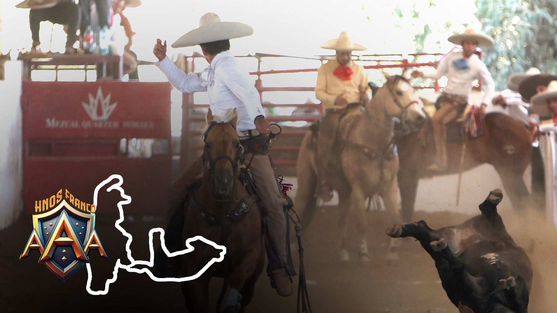 Domingo 15 de Febrero