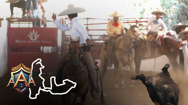 Domingo 15 de Febrero