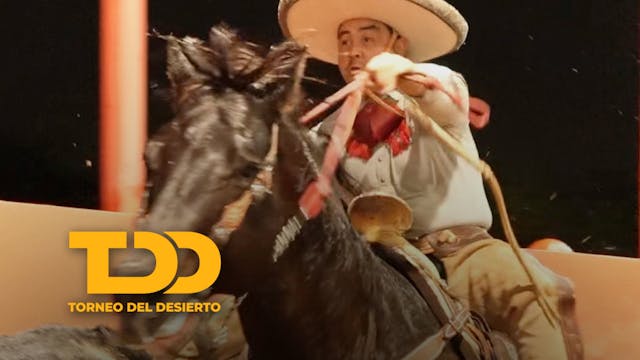 Coleadero del Desierto