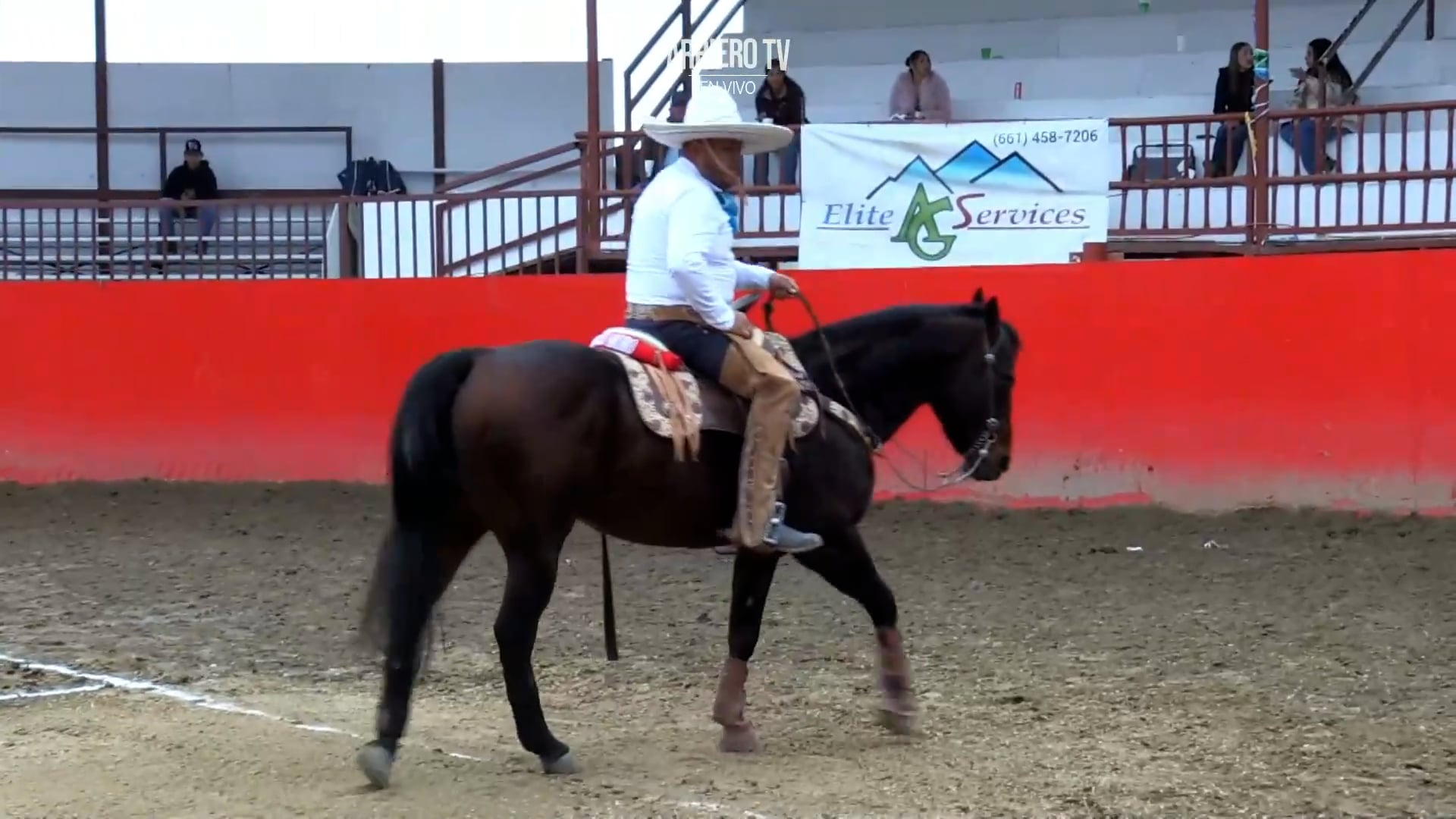 Charreada 4