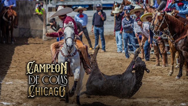 Coleadero A