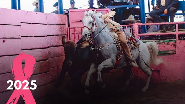 Domingo 5 de Octubre