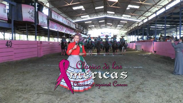 Feria de Escaramuza (Bloque 3)