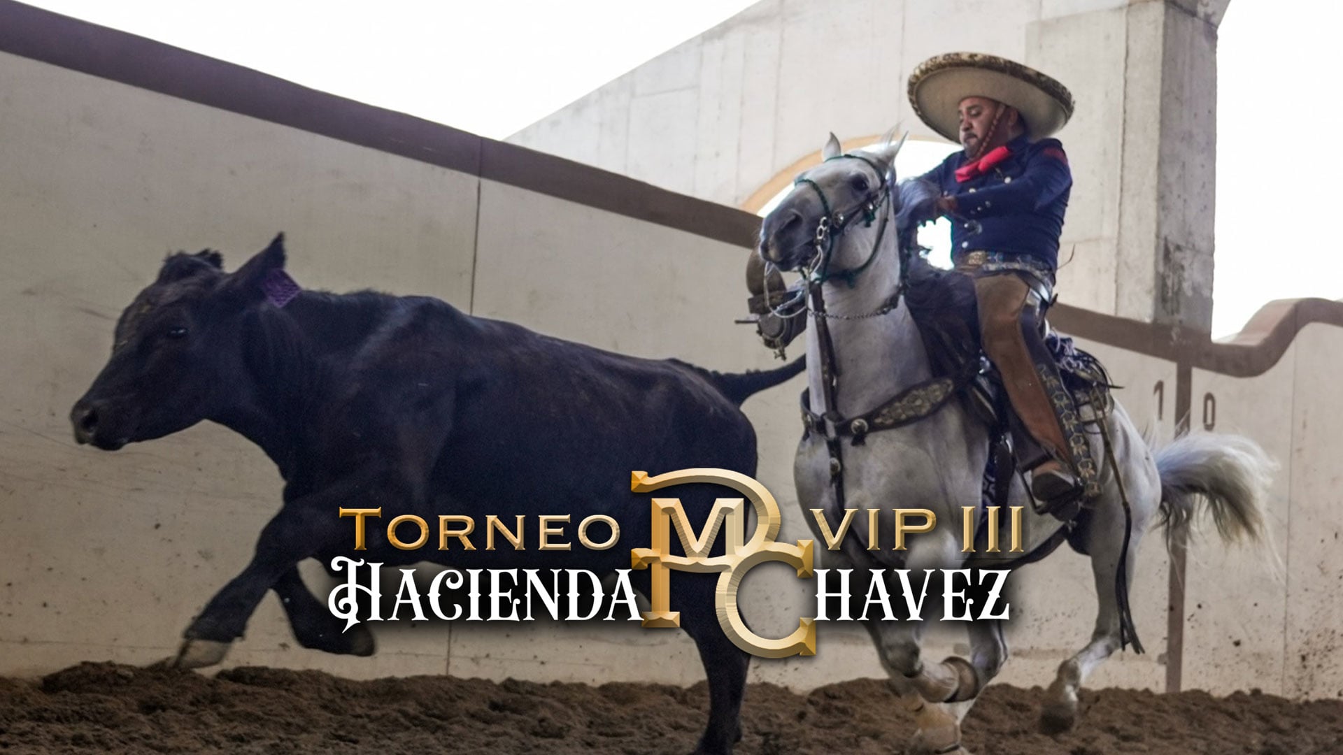 Coleadero 41+
