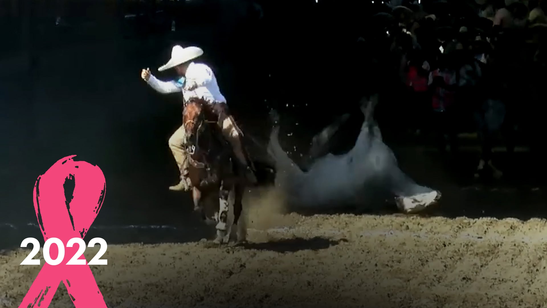 Final Coleadero de Estrellas