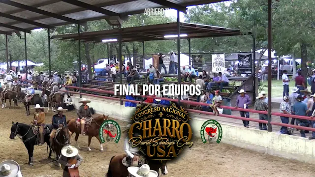 Final por Equipos