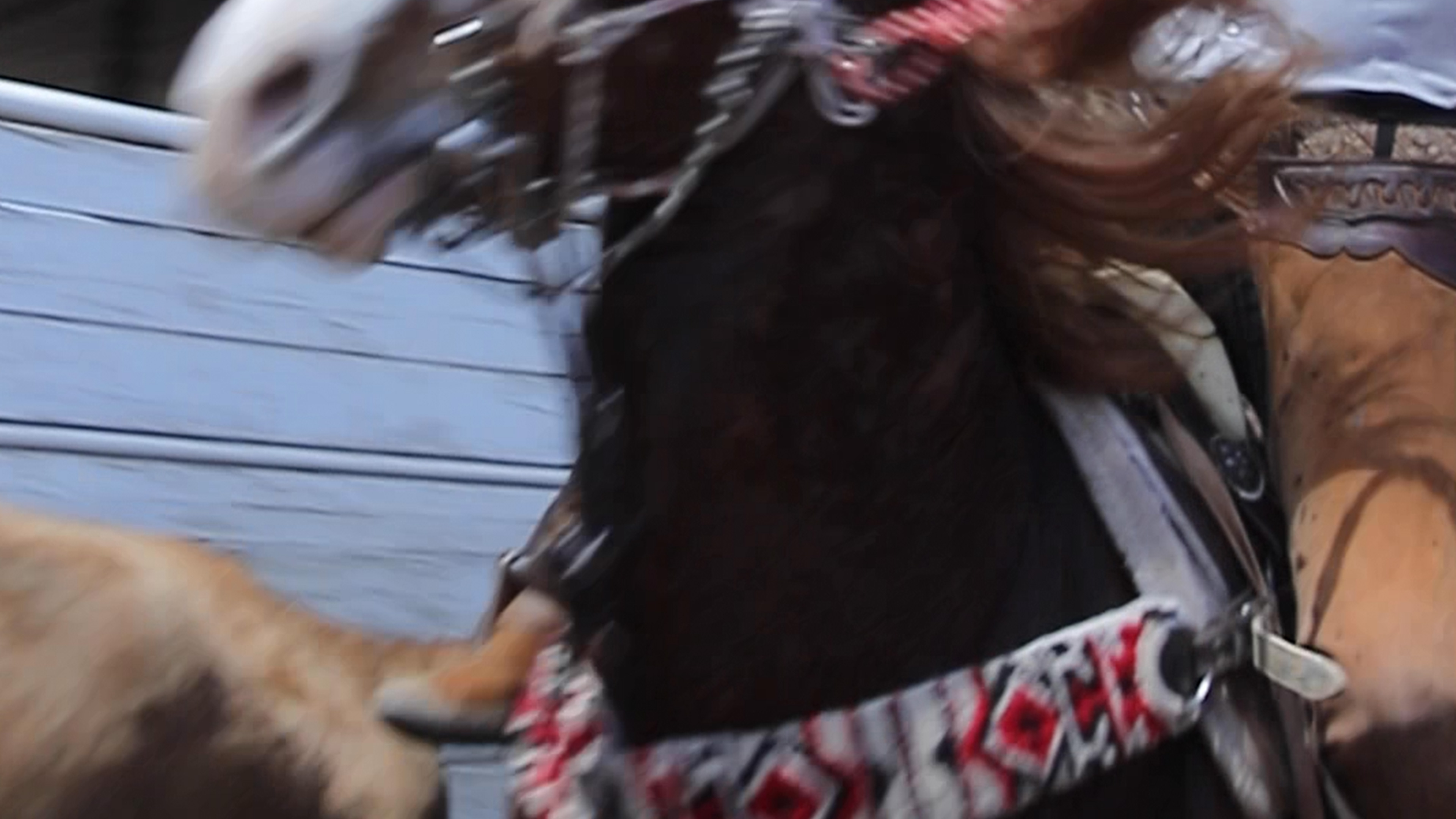 Rancho Los Palominos: Coleadero de Premio