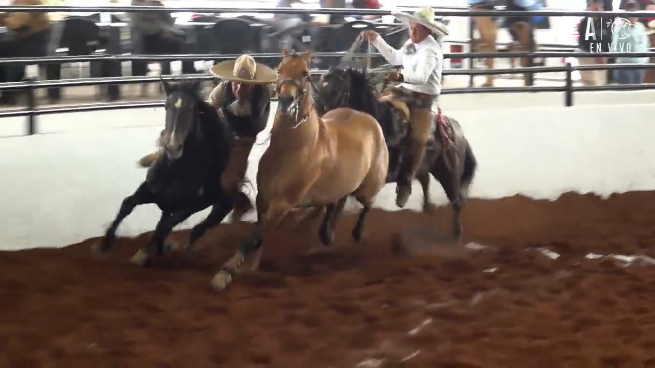 Charreada 1