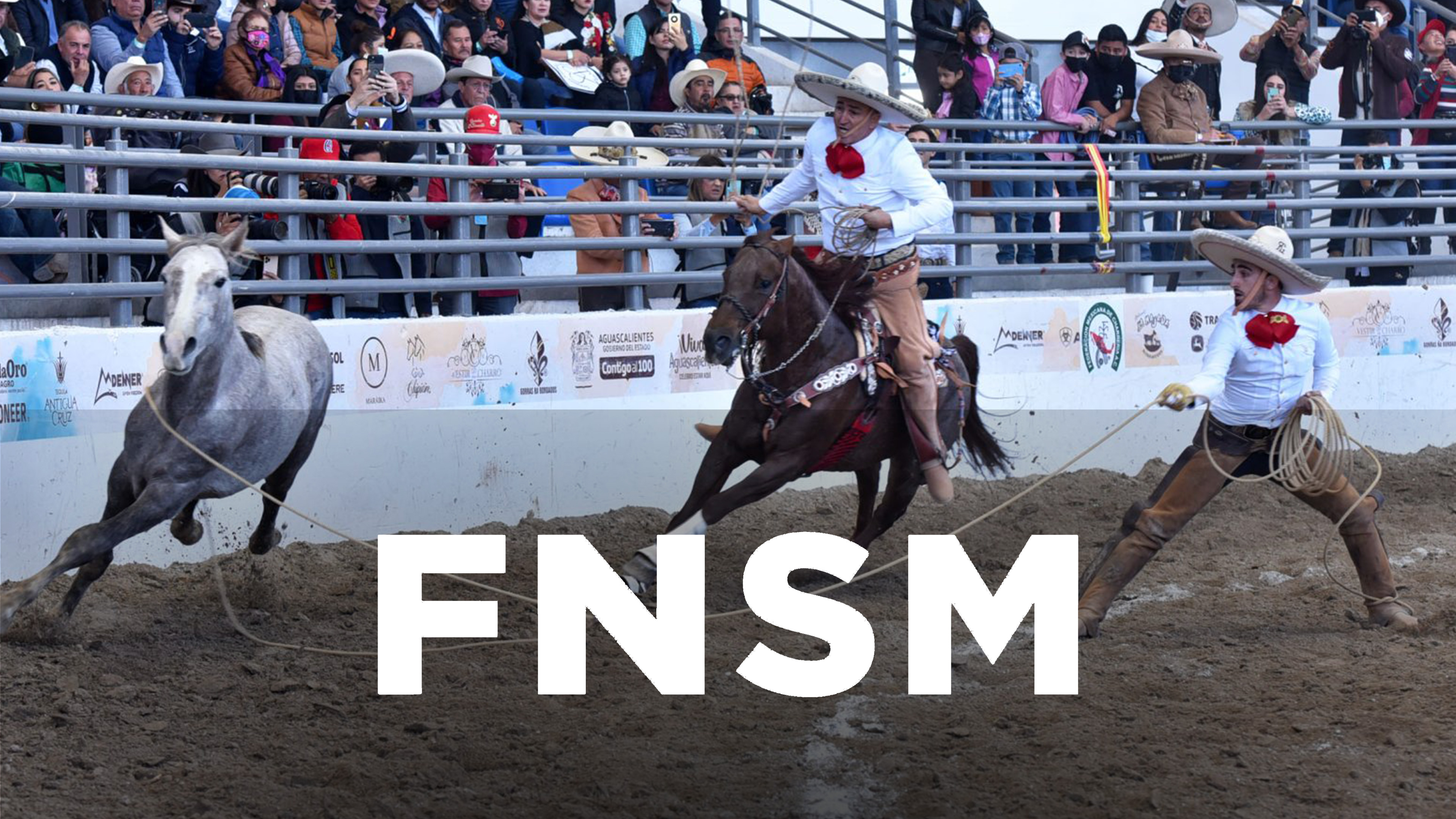 Feria Nacional San Marcos