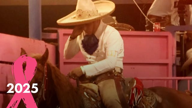 Coleadero de Estrellas (Fase 1)