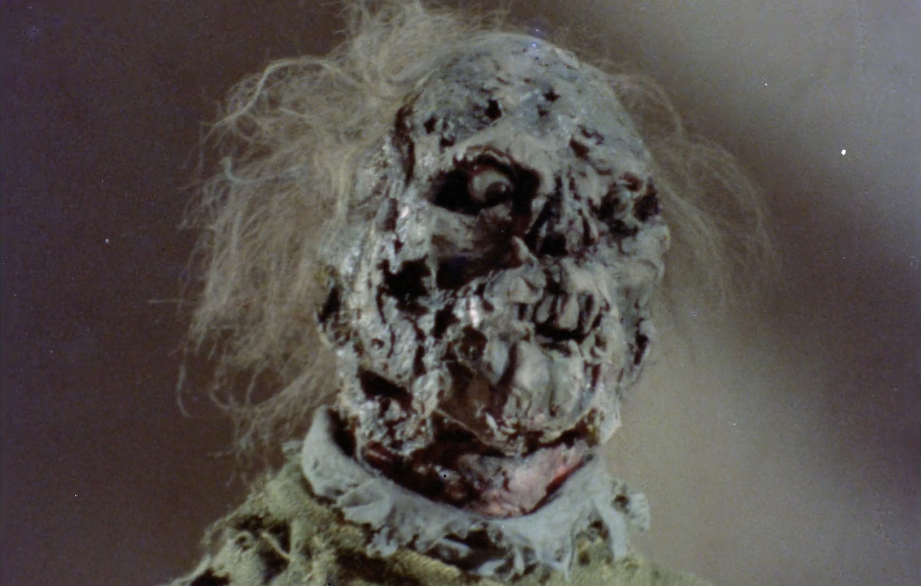 Burial Ground - Trailer