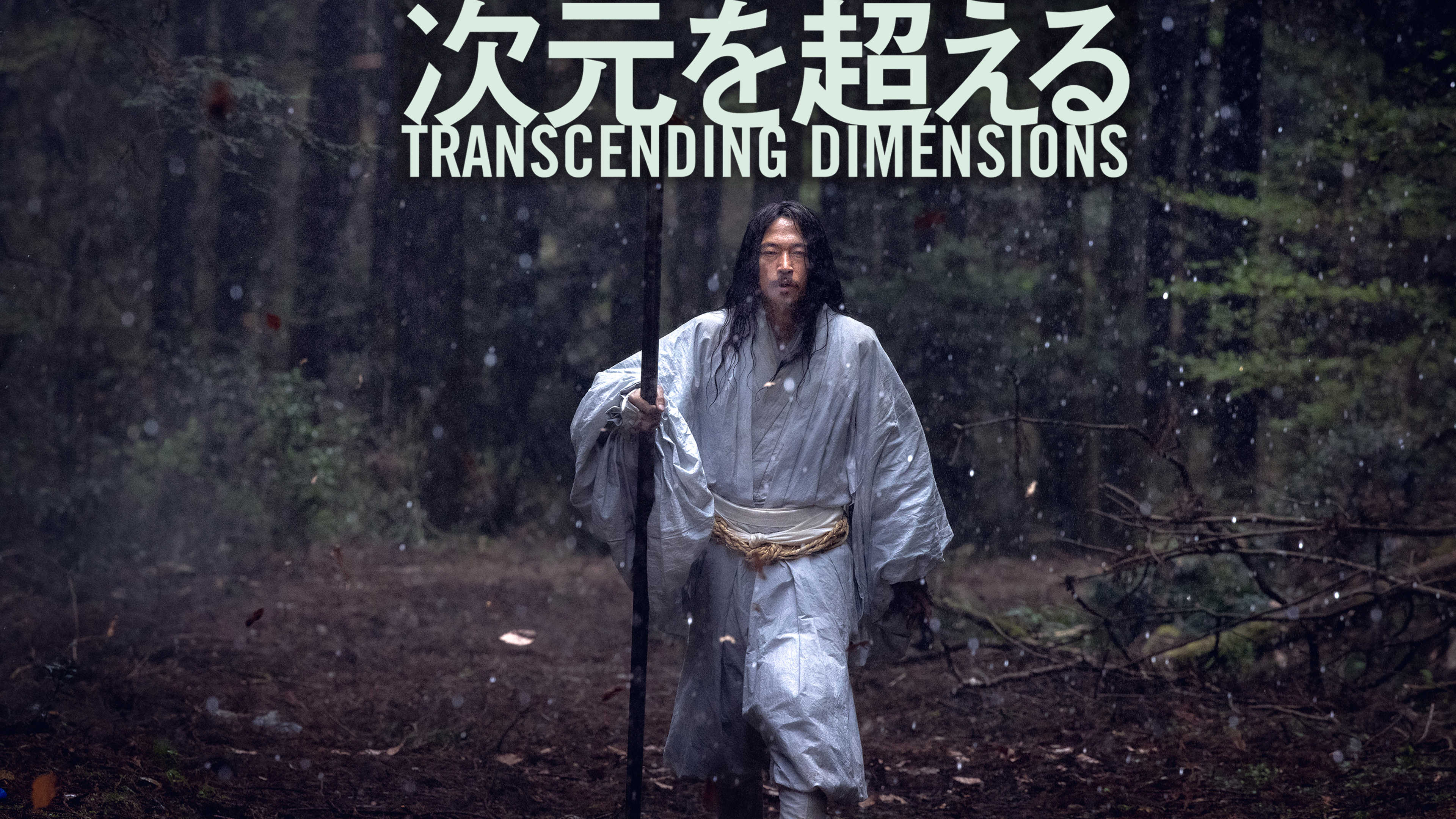 Transcending Dimensions