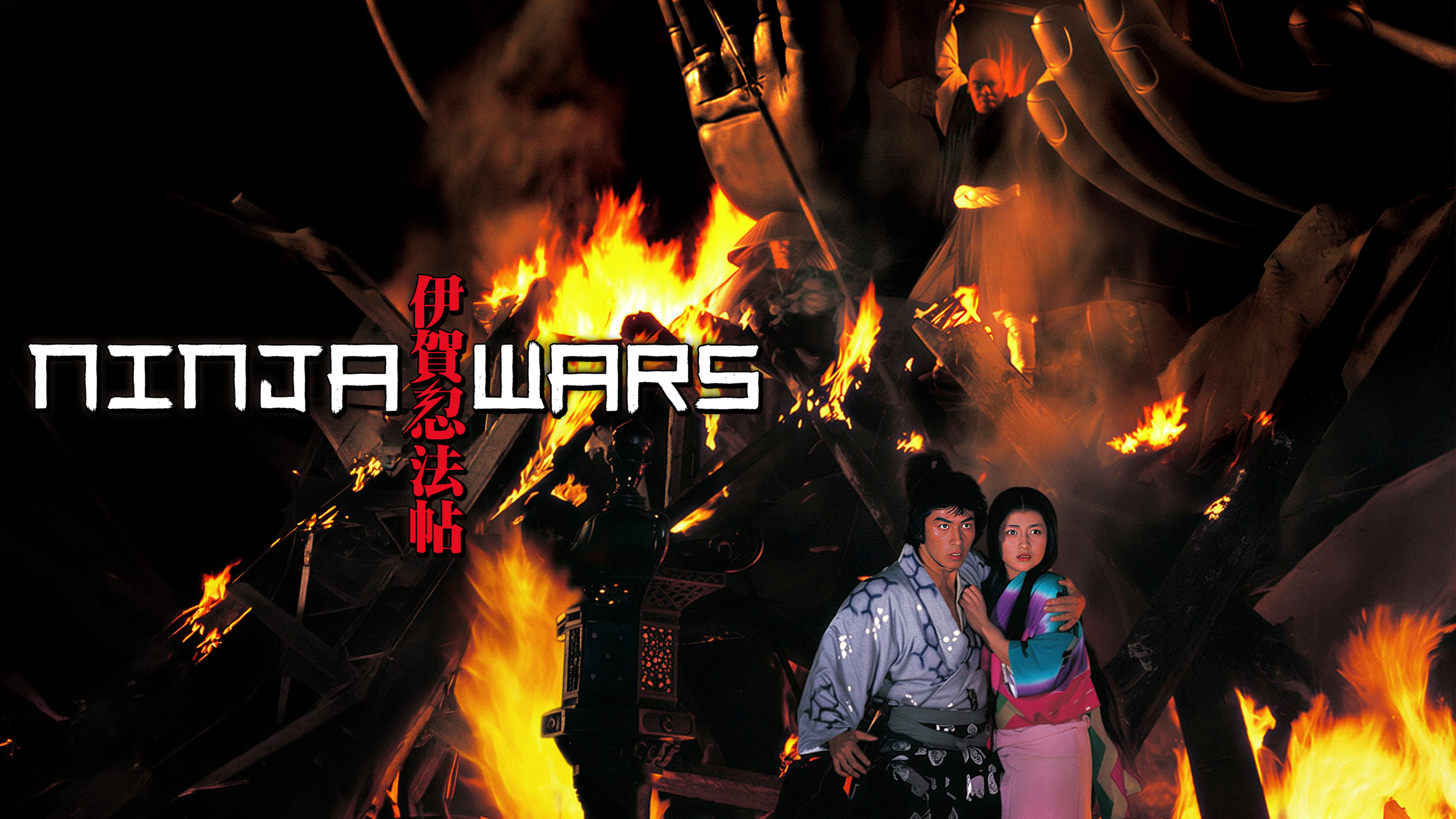 Ninja Wars