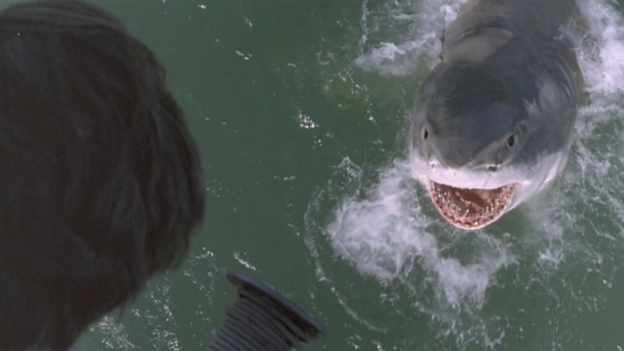 Cruel Jaws Trailer Arrow