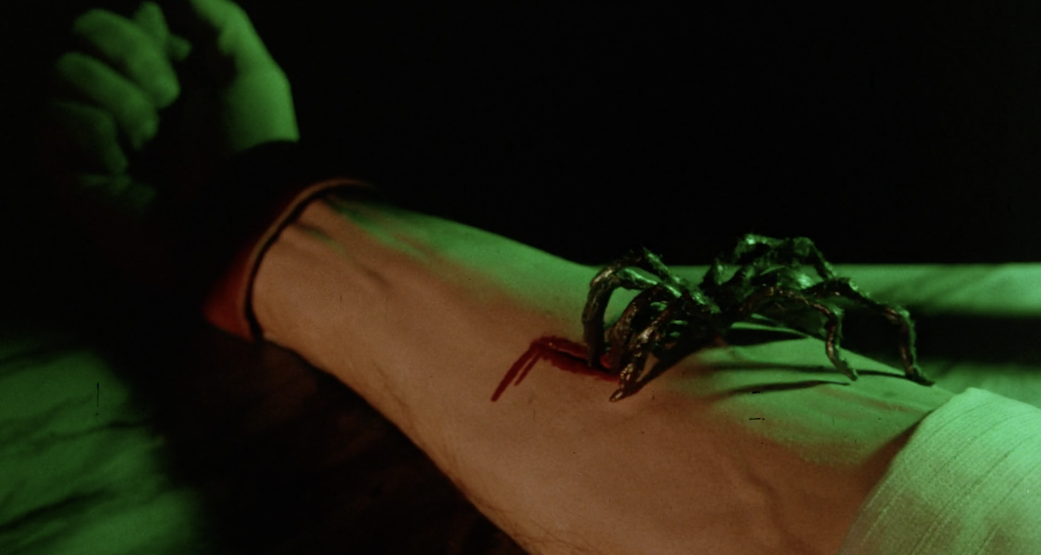 Spider Labyrinth - Trailer