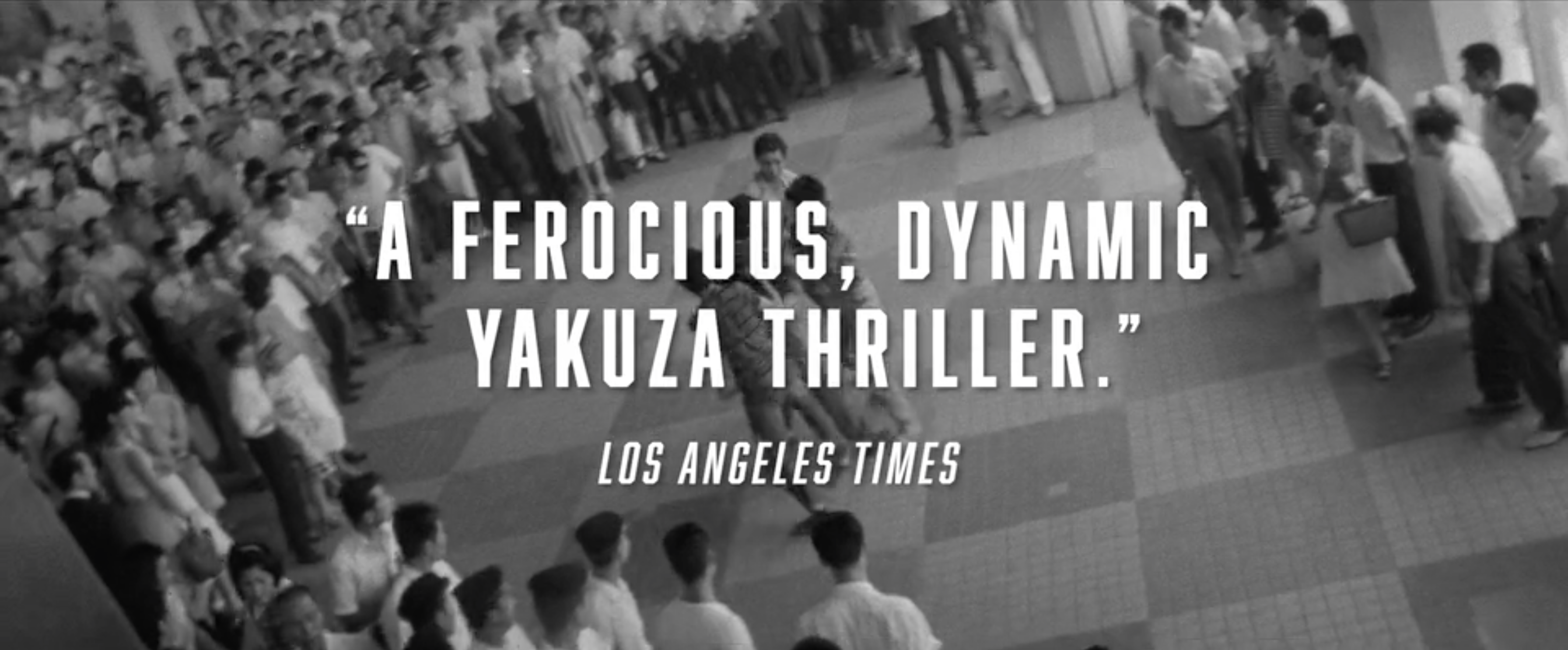 Wolves, Pigs, Men - Trailer