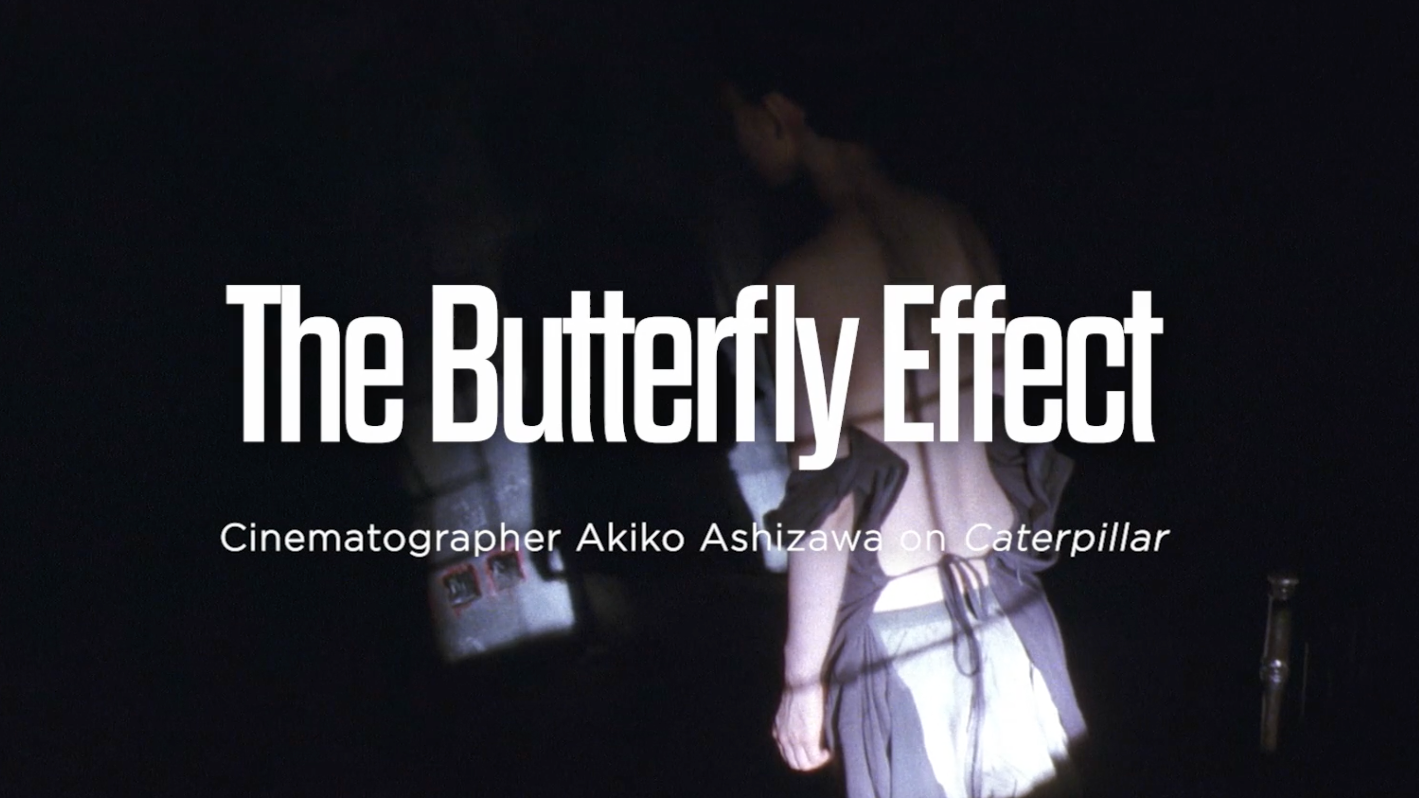 The Butterfly Effect