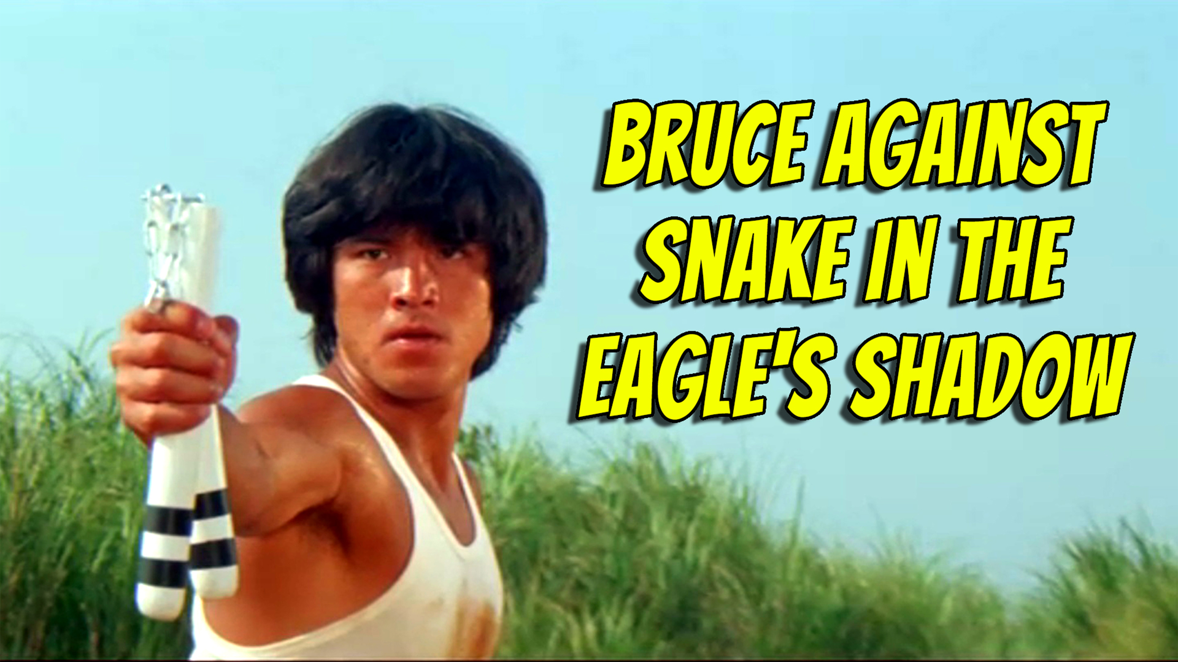 Bruce Against Snake in the Eagle's Shadow