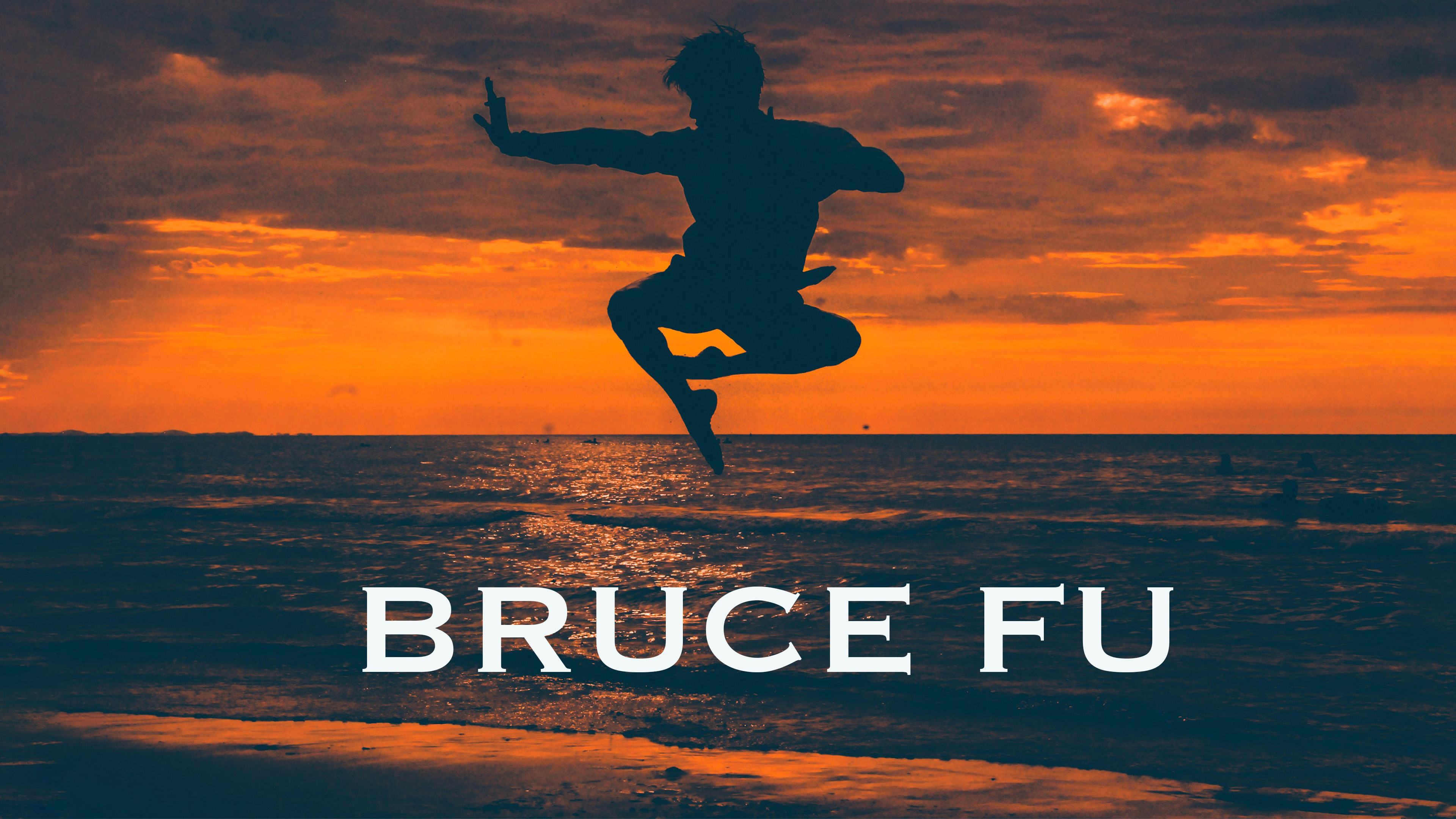 Bruce Fu