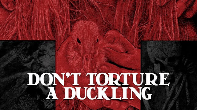 Don't Torture A Duckling