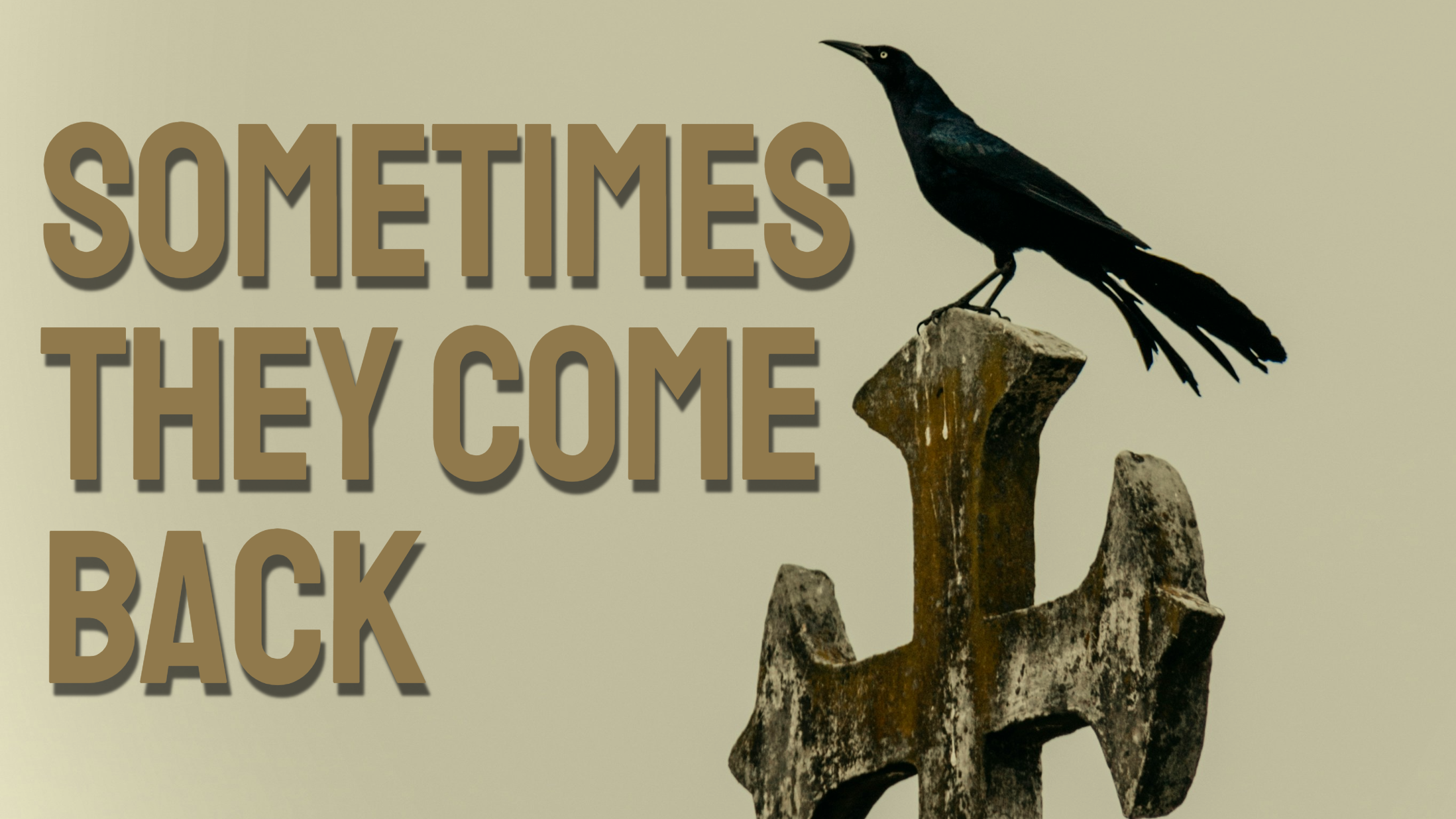 Sometimes They Come Back