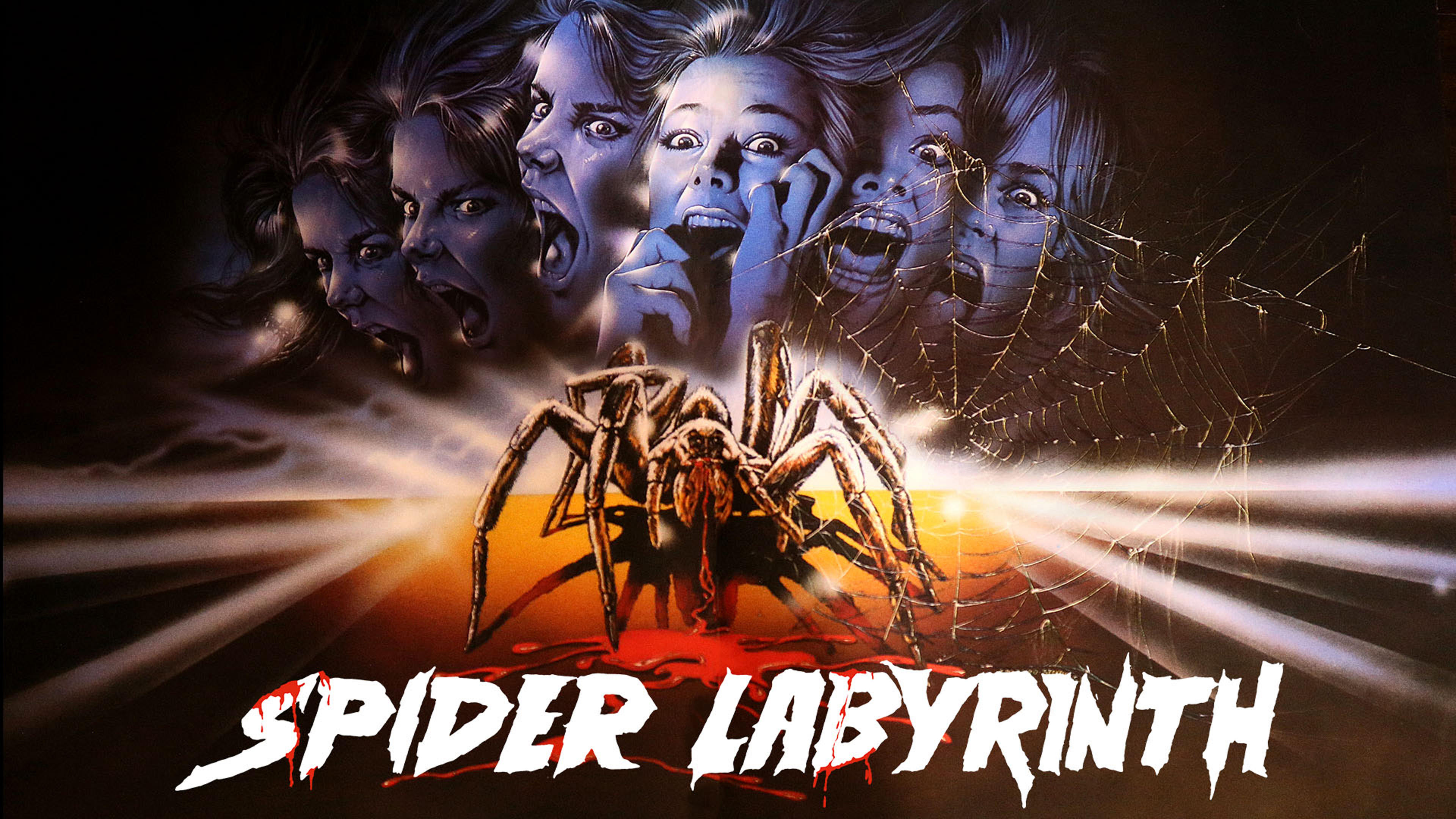 Spider Labyrinth