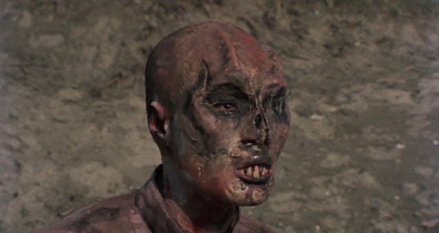 Zombie Holocaust - Trailer