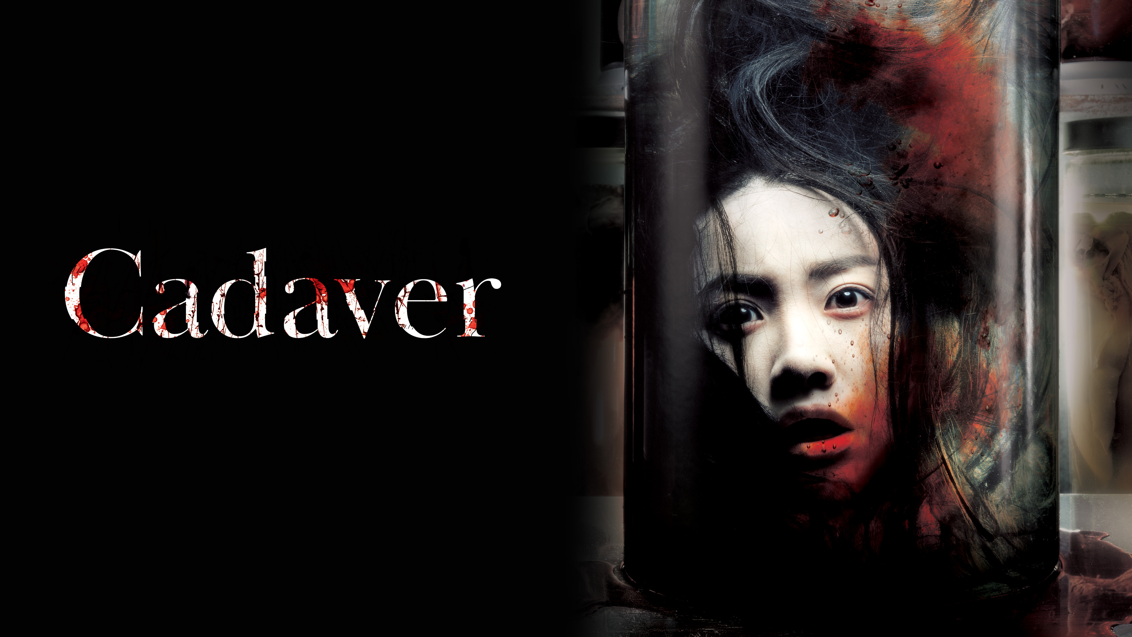 Cadaver