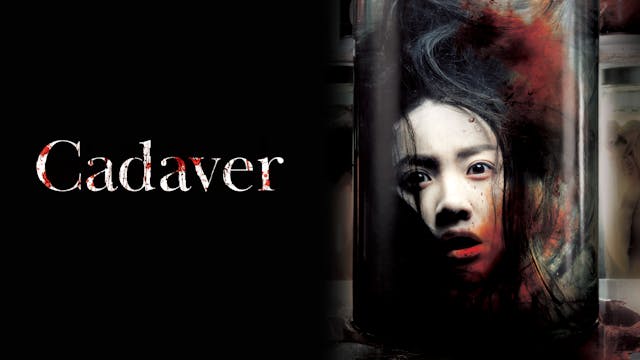Cadaver