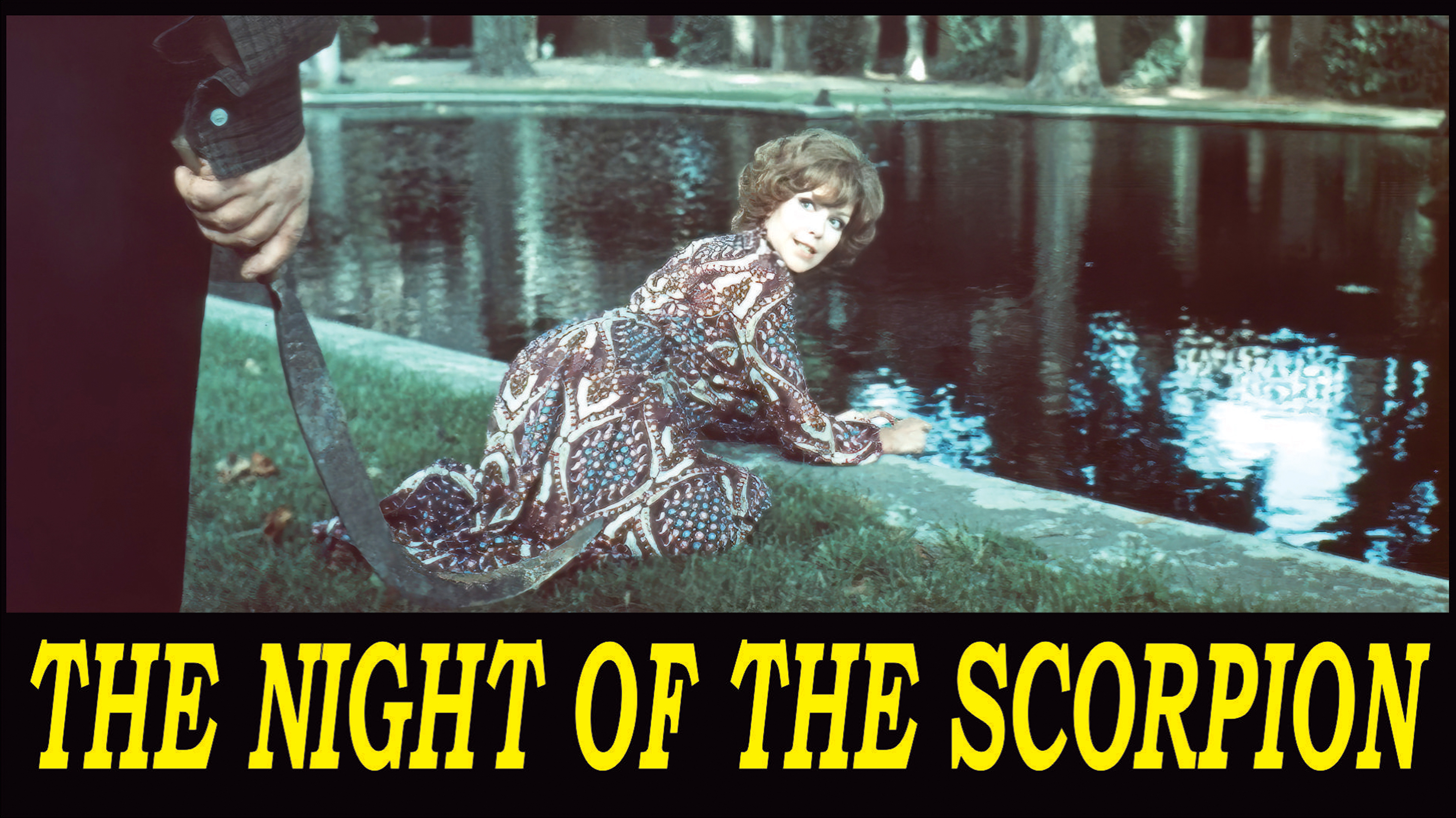 The Night of the Scorpion