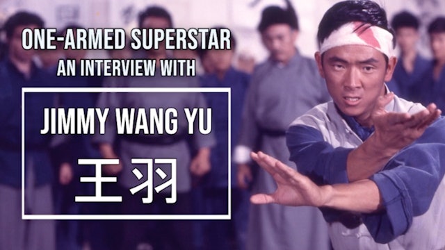 Career retrospective interview with Wang Yu