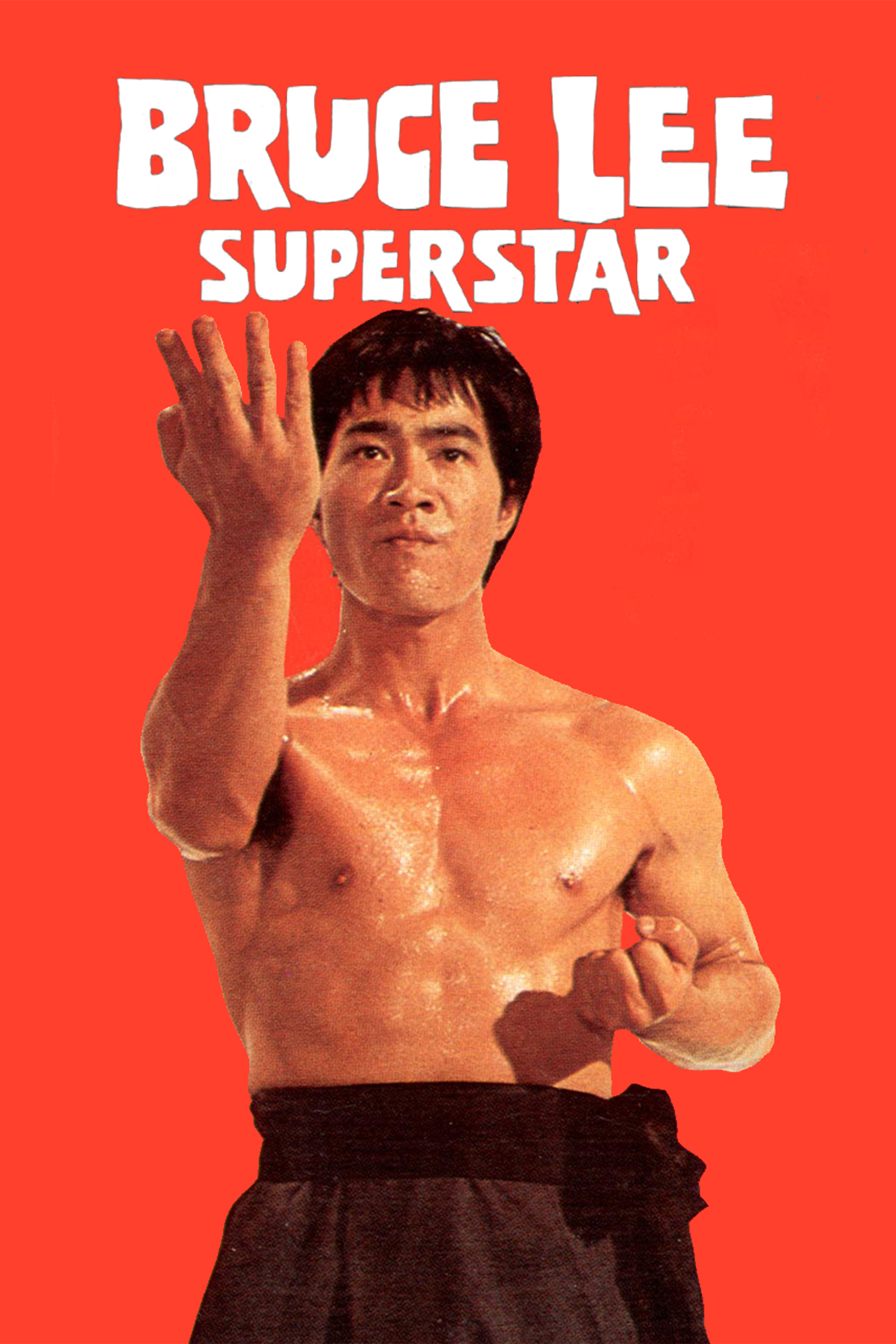 Bruce Lee Superstar