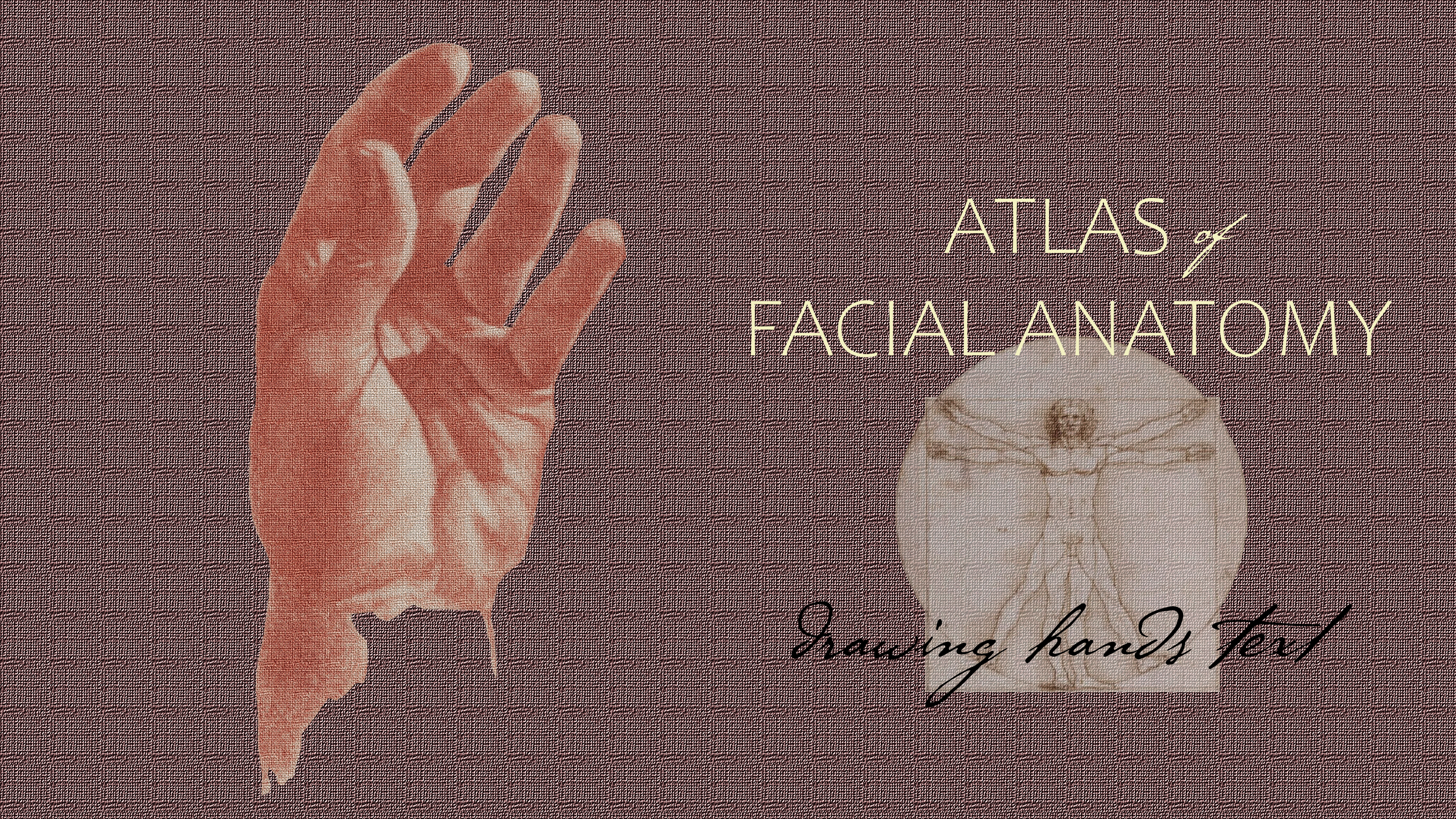 Anatomy of the Hand