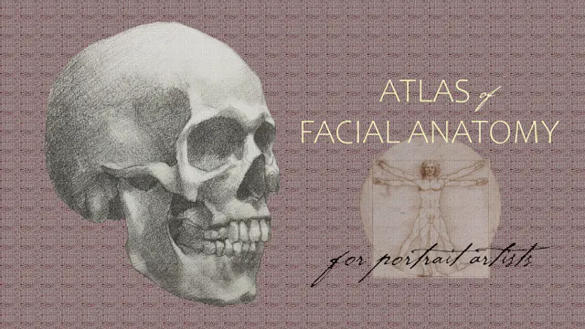 Atlas of Facial Anatomy for Portrait Artists