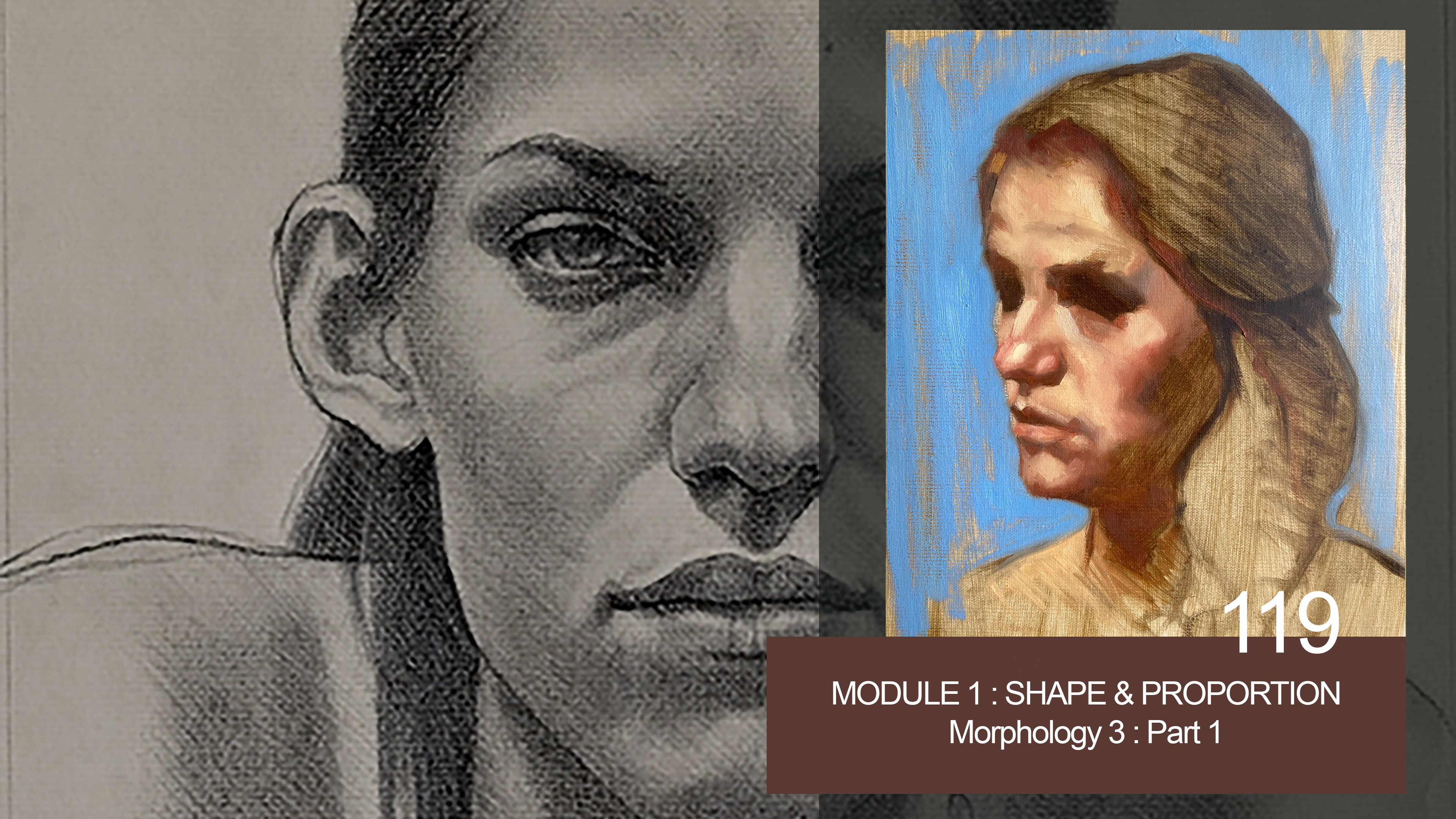 119-MODULE-1-SHAPE-and-PROPORTION-morphology-3-part-1