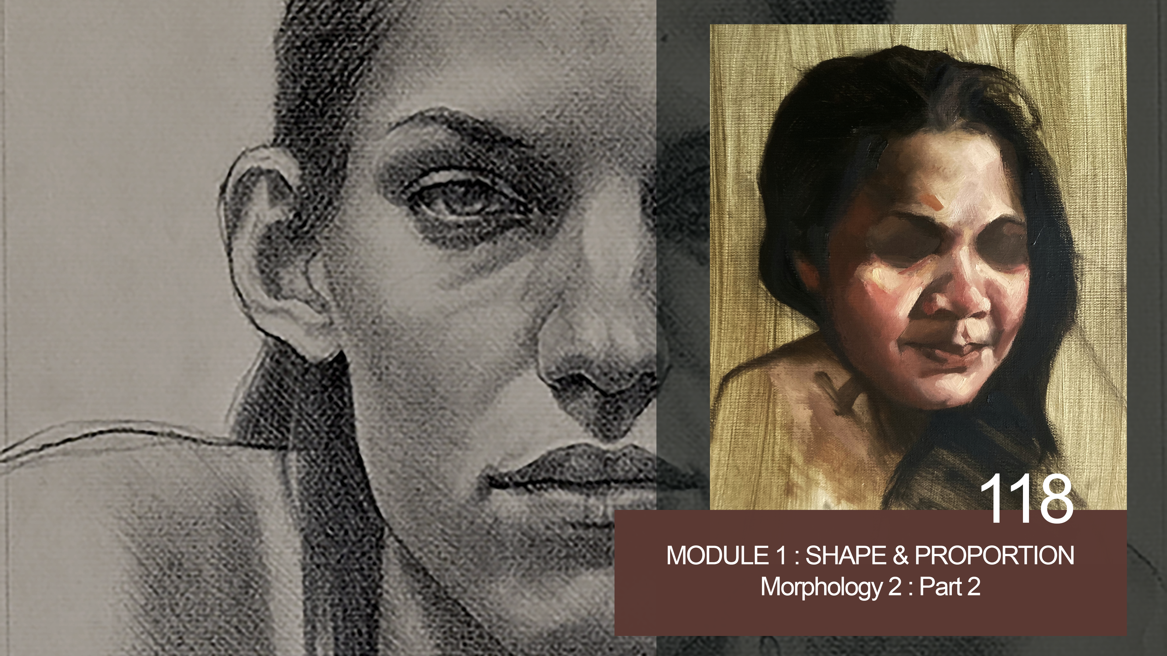 118-MODULE-1-SHAPE-and-PROPORTION-morphology-2-part-2